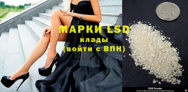 спайс Баксан