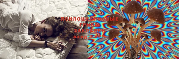 спайс Баксан